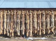 GetHunt Новгородская область, Окуловский район фото 21