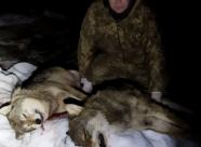 GetHunt Республика Беларусь Могилевская область Могилевский район фото 17