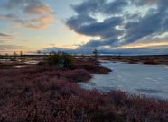 Gethunt Республика Коми муниципальный округ "Ухта" фото 5