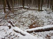 GetHunt Владимирская область, г. Александров фото 17