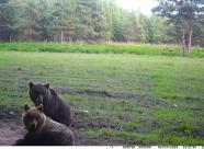 Нижегородская область, Семеновский городской округ фото 7