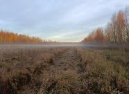 Gethunt Вологодская область, Вологодский район - 1 фото 2