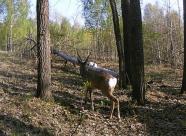 Gethunt Башкирия, Зилаирский район фото 20