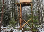 GetHunt Ленинградская область, Лодейнопольский район фото 32