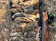 Gethunt Краснодарский край, Староминский район фото 33