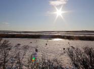 GetHunt Республика Коми, Воркутинский городской округ фото 6