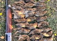 Gethunt Краснодарский край, Староминский район фото 9