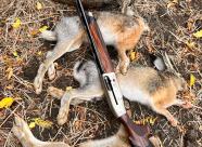 Gethunt Краснодарский край, Староминский район фото 4