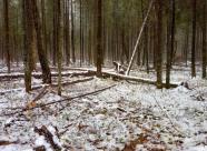 GetHunt Владимирская область, г. Александров фото 10