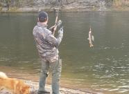 GetHunt Камчатский край, Усть-Камчатский район фото 17