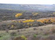 GetHunt Светлоград Ставрополье фото 3