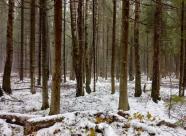 GetHunt Владимирская область, г. Александров фото 25